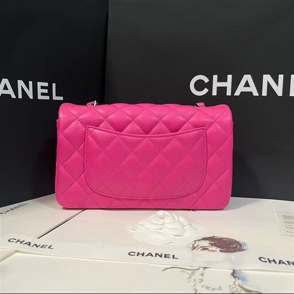 2026127205647204 380